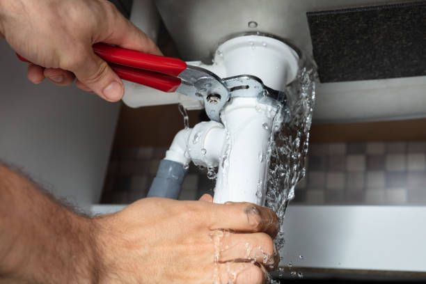 Best Flood restoration services  in Lincolnia, VA