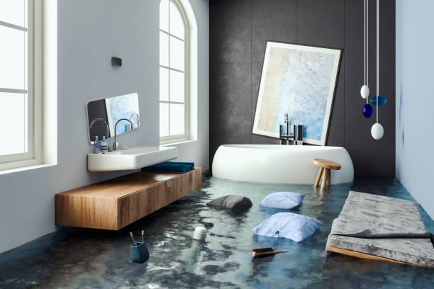 Best Ceiling water damage repair  in Lincolnia, VA