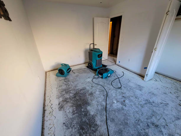 Best Basement water damage restoration  in Lincolnia, VA