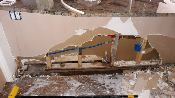 Best Mold removal after water damage  in Lincolnia, VA