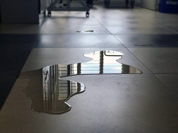 Best Water damage cleanup near me  in Lincolnia, VA