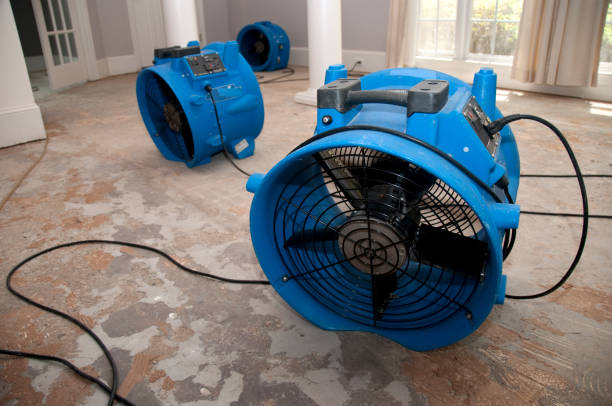 Best Water damage contractors near me  in Lincolnia, VA