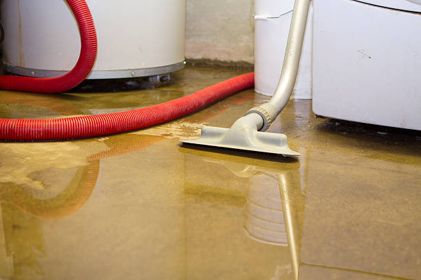 Best Professional water damage repair  in Lincolnia, VA