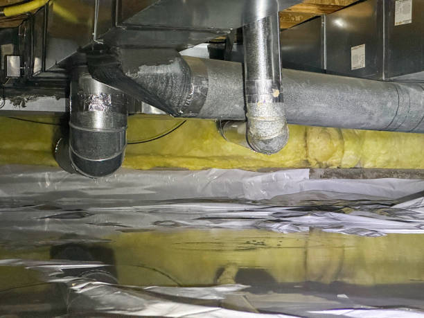 Best Water damage restoration near me  in Lincolnia, VA